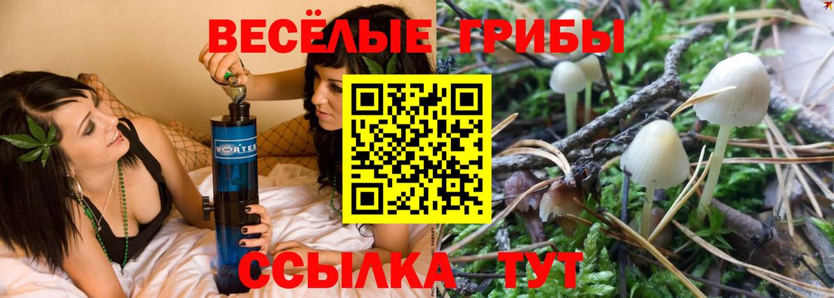 Псилоцибиновые грибы прущие грибы  Вход с VPN  Лянтор 